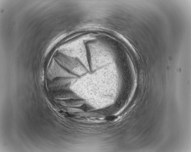 X0000087401461200705111813