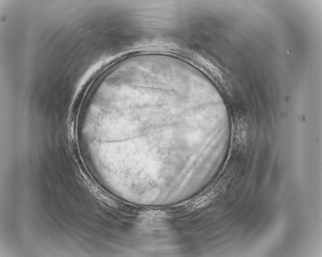 X0000087401462200705111813