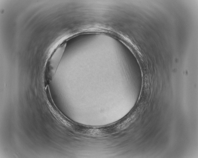 X0000087401463200705111813