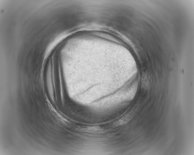 X0000087401464200705111813