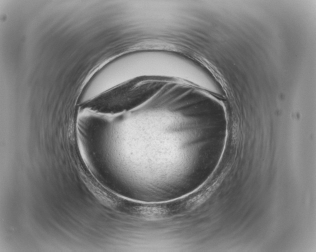 X0000087401465200705111813