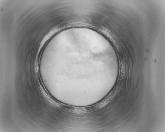 X0000087401466200705111813