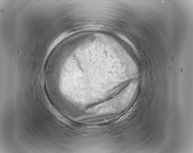 X0000087401467200705111813