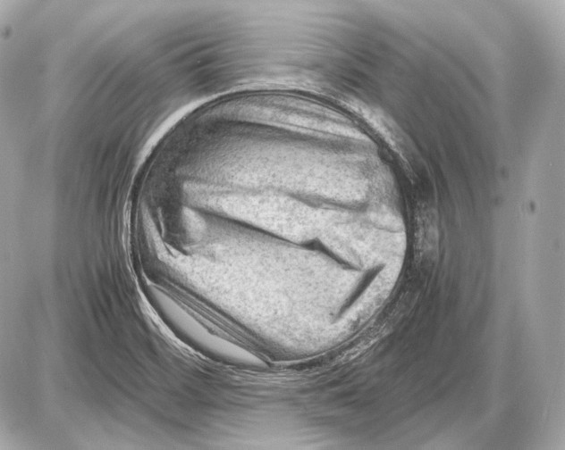 X0000087401468200705111813