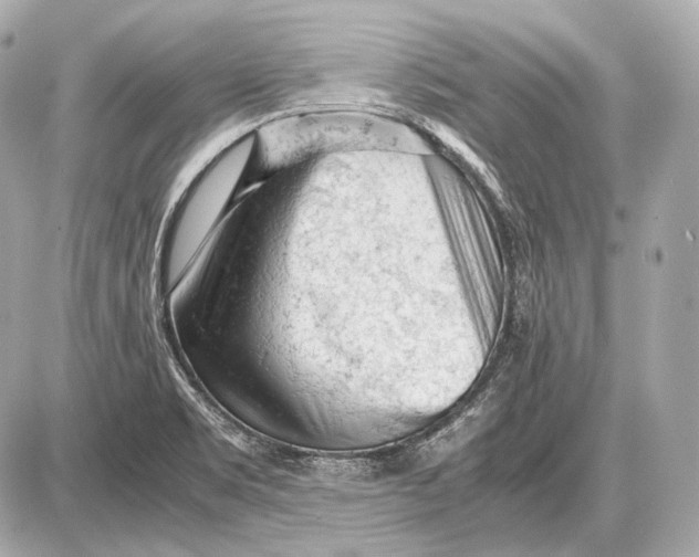 X0000087401469200705111813