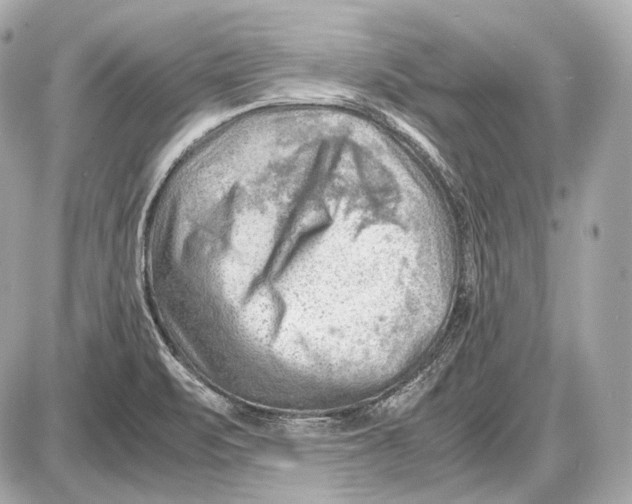 X0000087401471200705111813