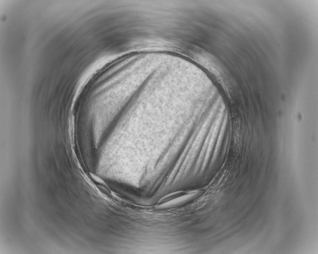 X0000087401472200705111813