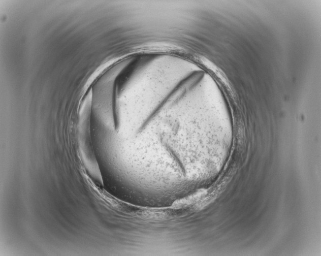 X0000087401473200705111813