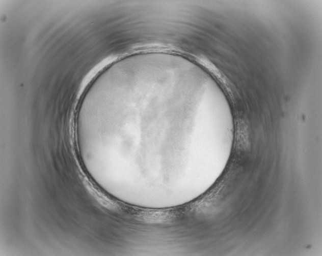 X0000087401474200705111813