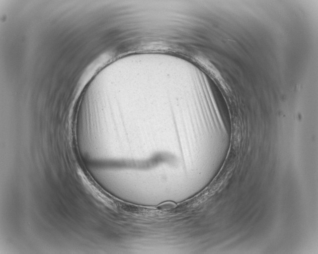 X0000087401475200705111813