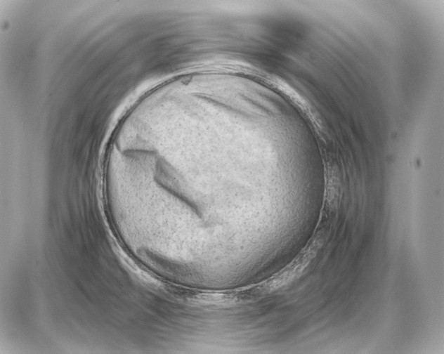 X0000087401478200705111813