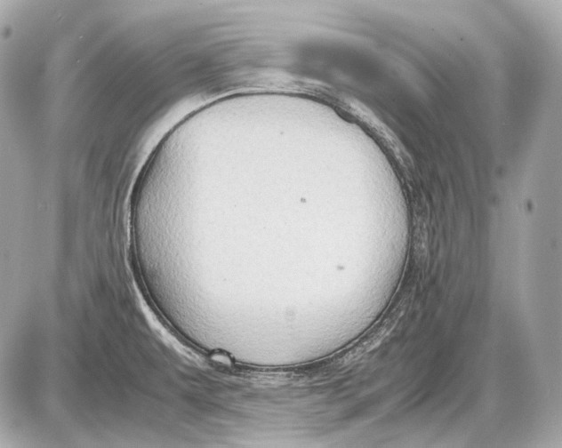 X0000087401479200705111813