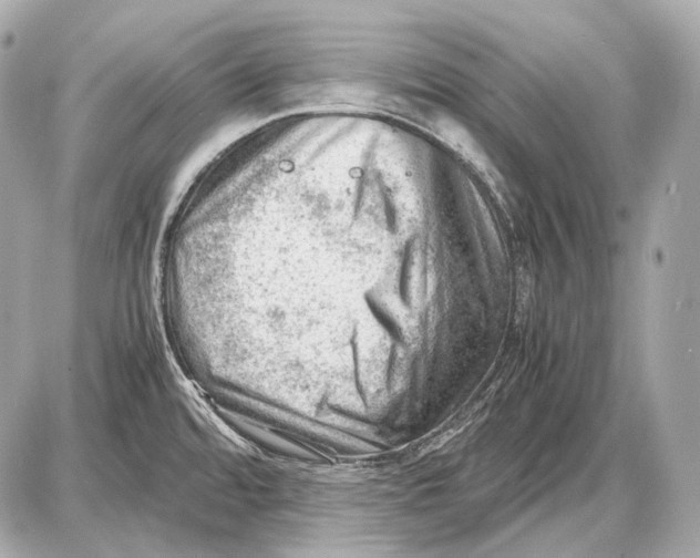 X0000087401480200705111813