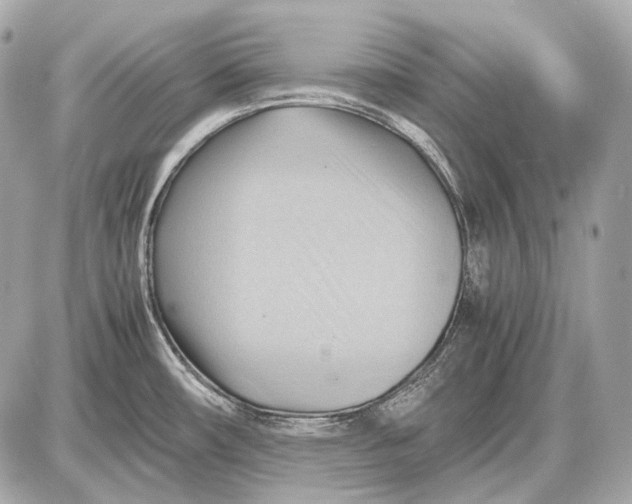 X0000087401482200705111813