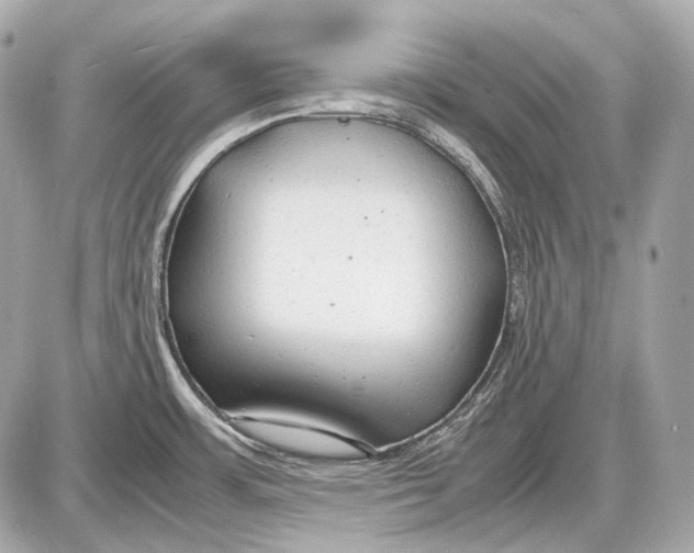 X0000087401483200705111813