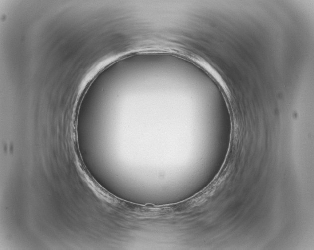 X0000087401485200705111813