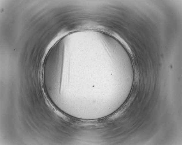 X0000087401486200705111813