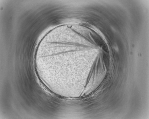 X0000087401488200705111813