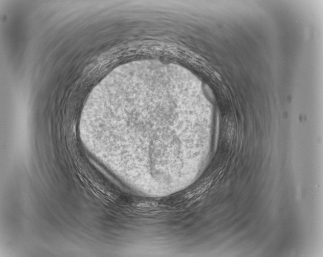 X0000087401489200705111812