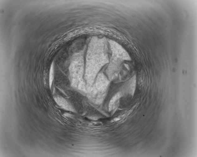 X0000087401490200705111812