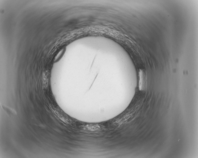 X0000087401491200705111812