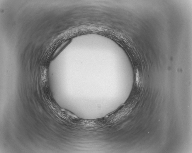 X0000087401492200705111812