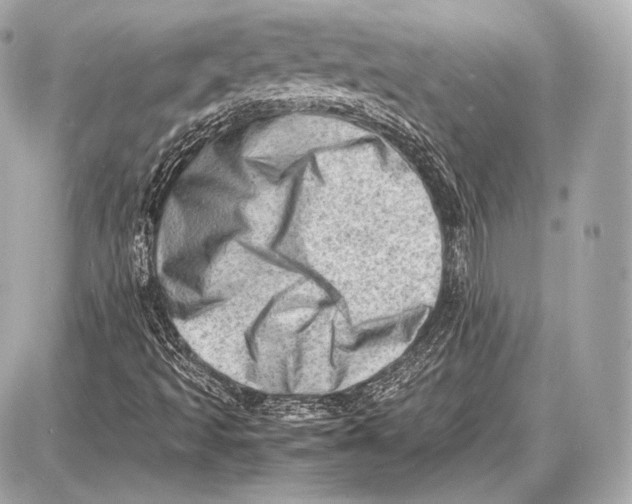 X0000087401493200705111812