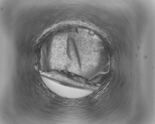 X0000087401494200705111812