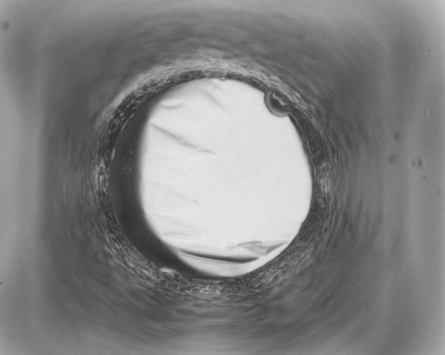 X0000087401495200705111812