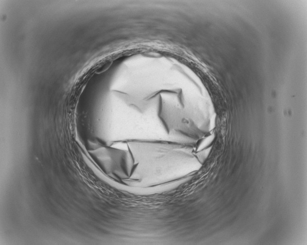 X0000087401496200705111812