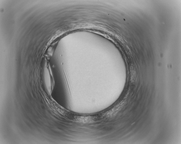 X0000087401497200705111812