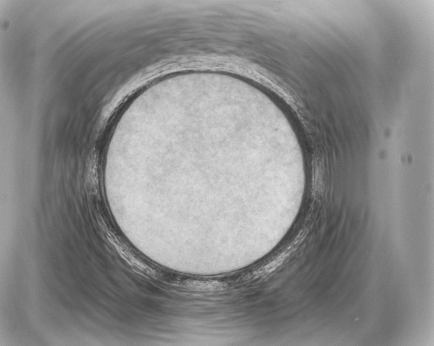 X0000087401498200705111812