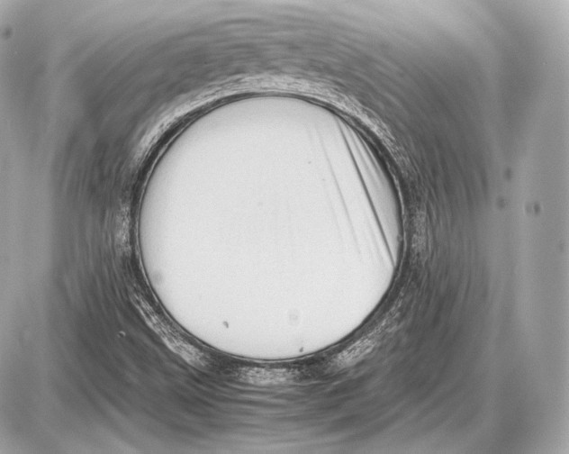 X0000087401499200705111812