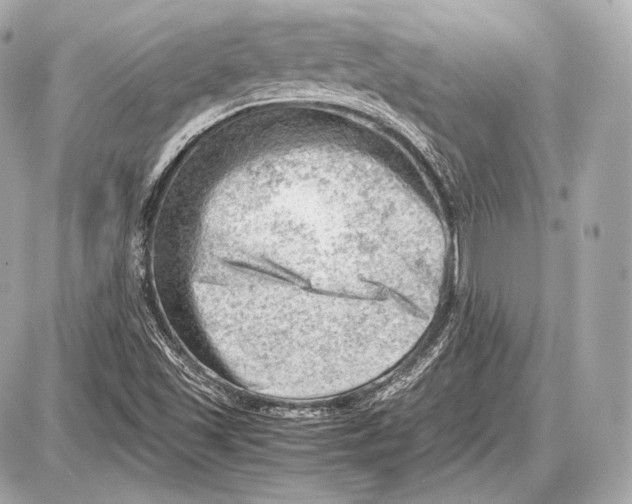 X0000087401501200705111812