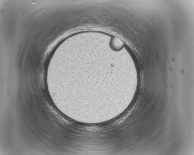 X0000087401502200705111812