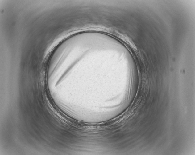 X0000087401504200705111812