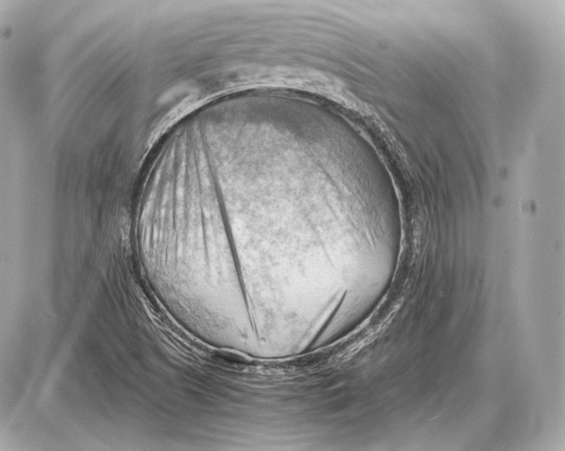 X0000087401505200705111812