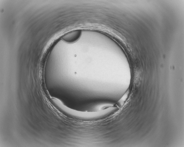 X0000087401506200705111812