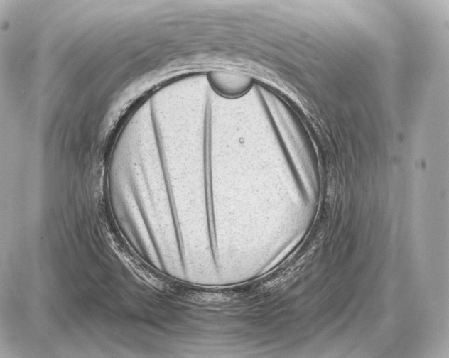 X0000087401507200705111812