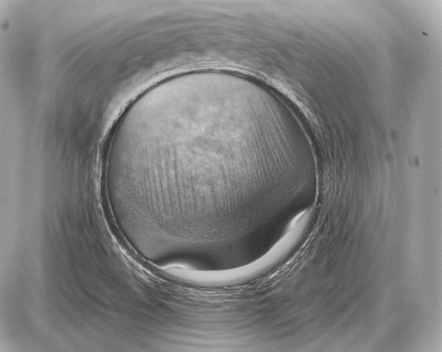 X0000087401508200705111813