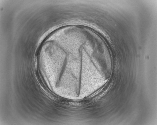 X0000087401509200705111813