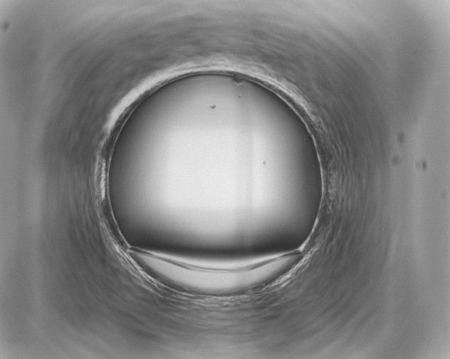 X0000087401510200705111813