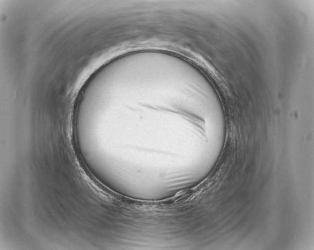 X0000087401512200705111813