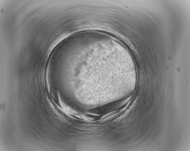 X0000087401513200705111813