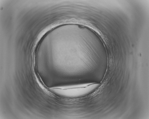 X0000087401515200705111813