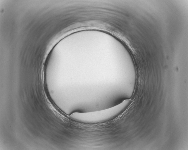 X0000087401516200705111813