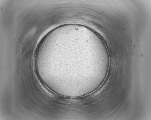 X0000087401517200705111813