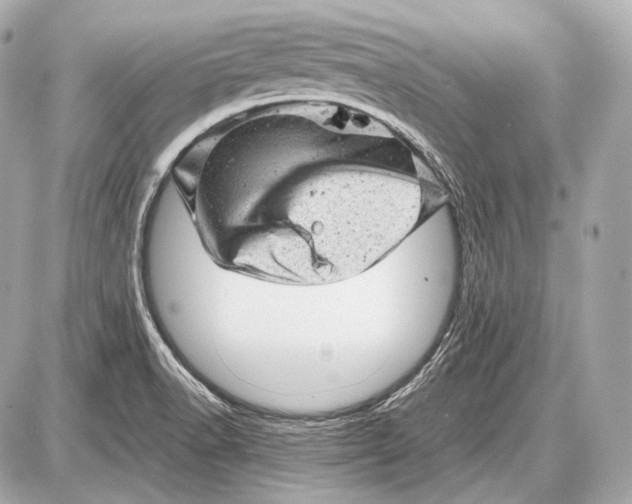 X0000087401518200705111813