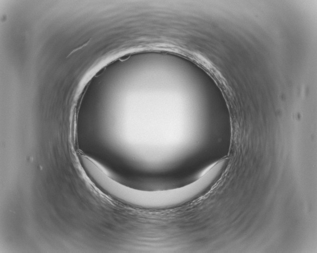 X0000087401520200705111813