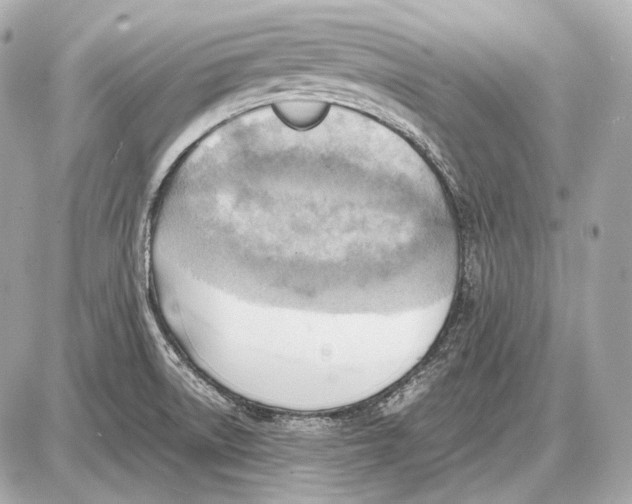 X0000087401522200705111813